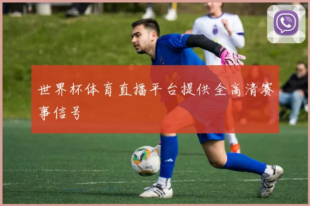 世界杯体育直播平台提供全高清赛事信号
