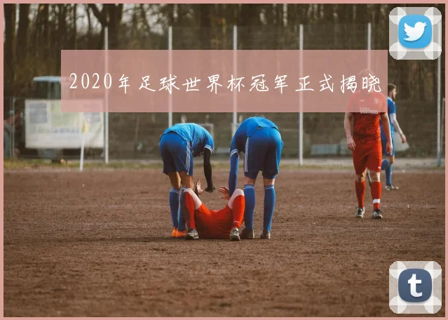 2020年足球世界杯冠军正式揭晓