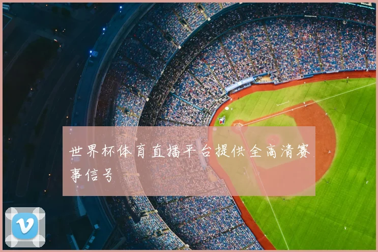 世界杯体育直播平台提供全高清赛事信号