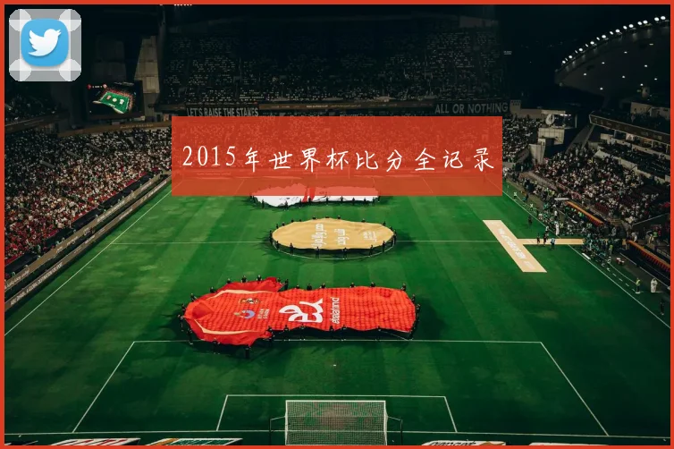 2015年世界杯比分全记录