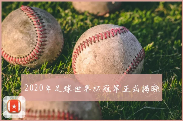 2020年足球世界杯冠军正式揭晓