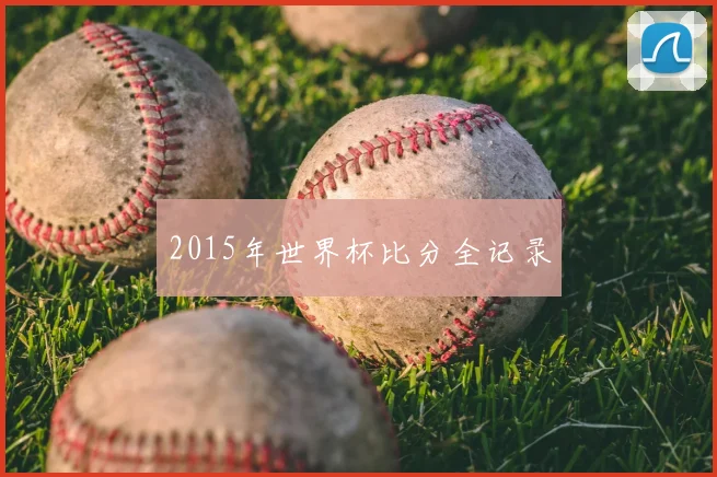 2015年世界杯比分全记录