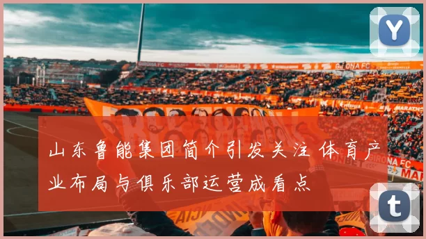 山东鲁能集团简介引发关注 体育产业布局与俱乐部运营成看点