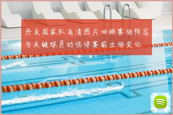 丹麦国家队高清图片回顾赛场阵容与关键球员的伤停赛前出场变化