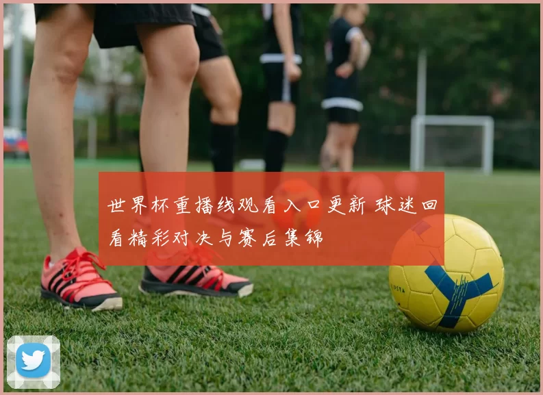 世界杯重播线观看入口更新 球迷回看精彩对决与赛后集锦