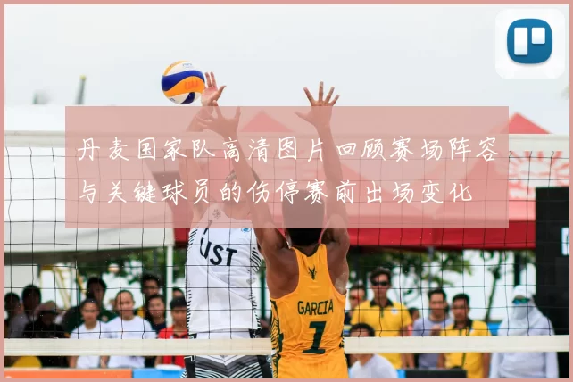 丹麦国家队高清图片回顾赛场阵容与关键球员的伤停赛前出场变化