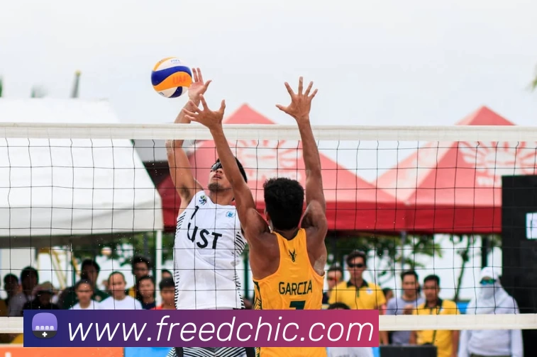 多媒体互动体验